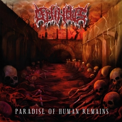 Ominovs - Paradise of Human Remains CD